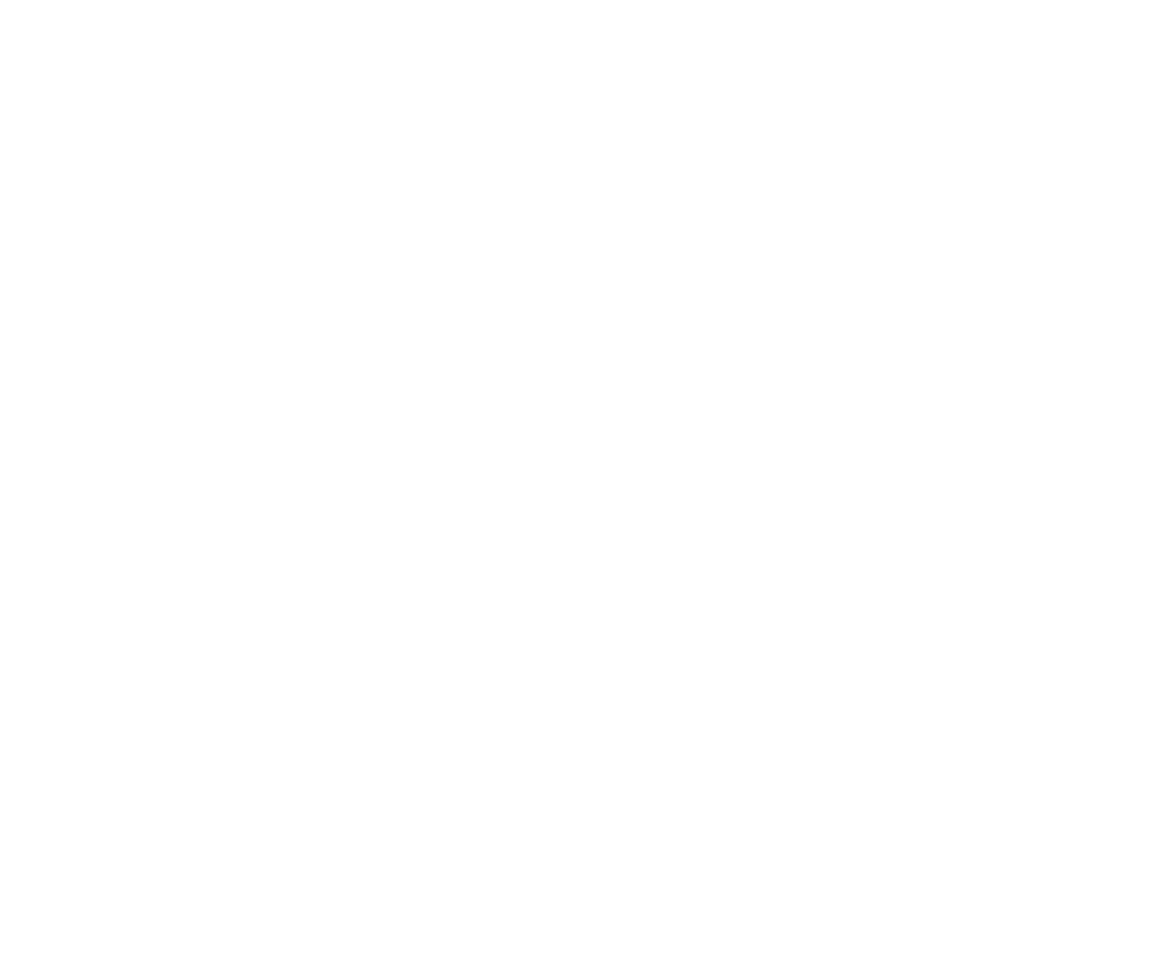 AVOS Salzburg