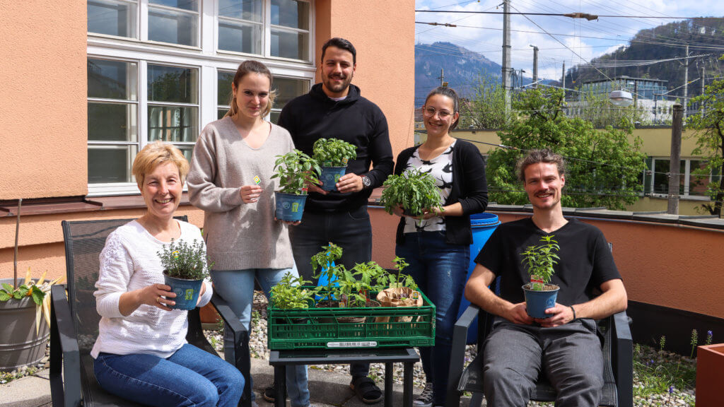 AVOS-Mitarbeiter*innen halten auf der Terrasse Setzlinge in ihren Händen.