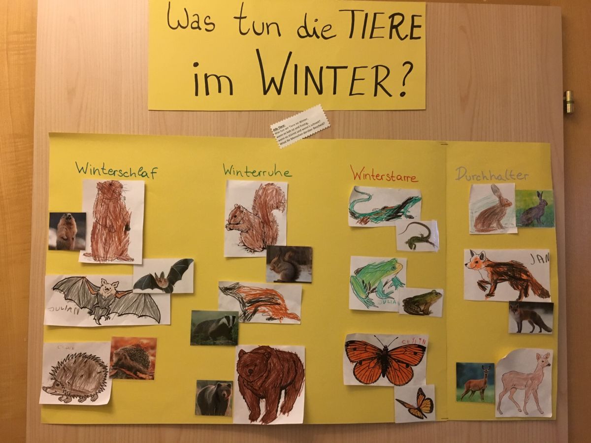 Was machen Tiere im Winter - Gesundes Salzburg