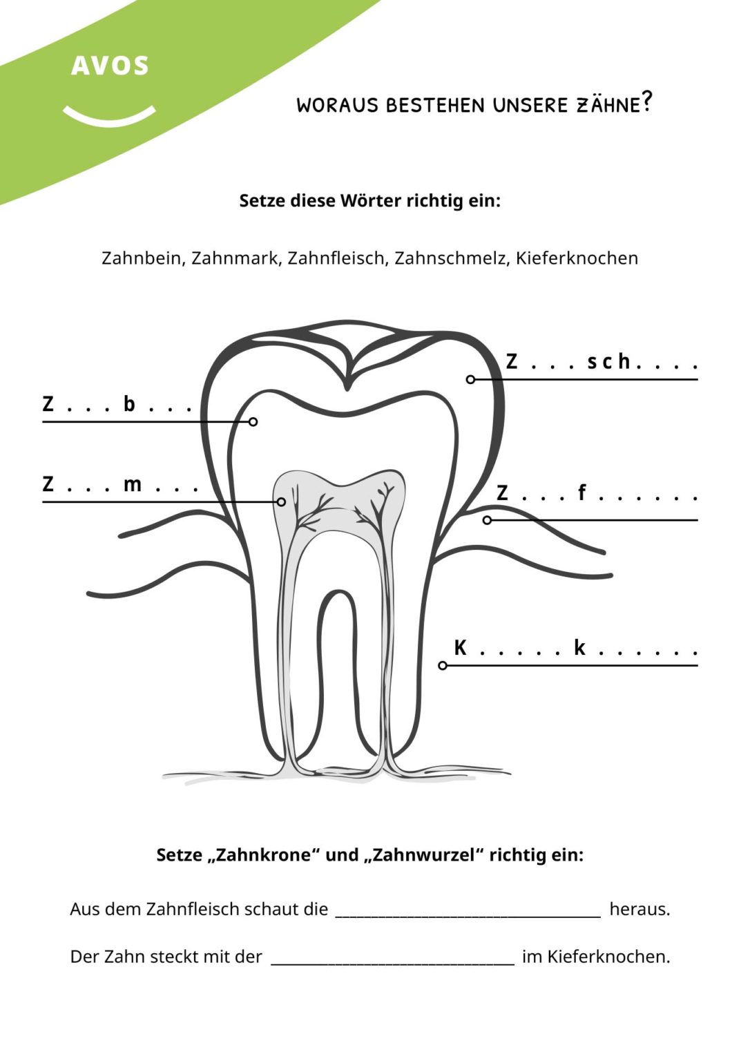 Materialien für die Volksschule - Gesundes Salzburg