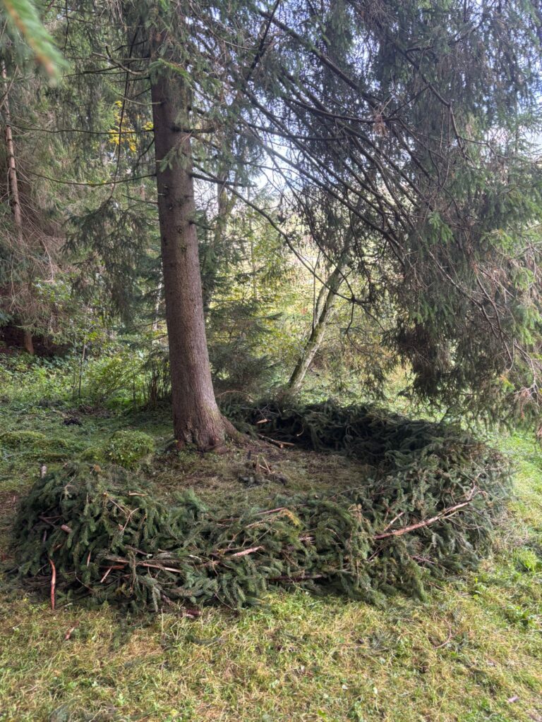 Waldsofa