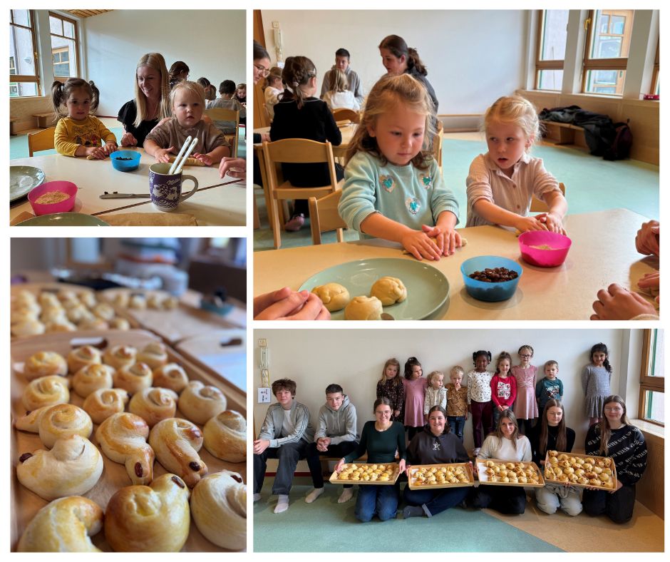 Martinsgänse backen