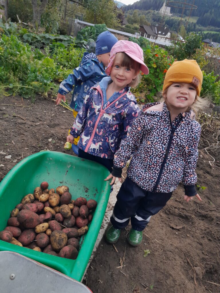 Bei der Kartoffelernte helfen alle mit.